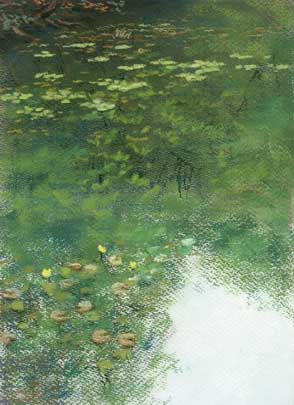 090705hyoutan_ike.jpg