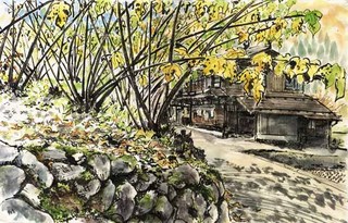 20111029shimizu'skouzo.jpg